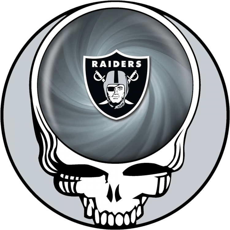 Oakland Raiders skull logo DIY iron on transfer (heat transfer)